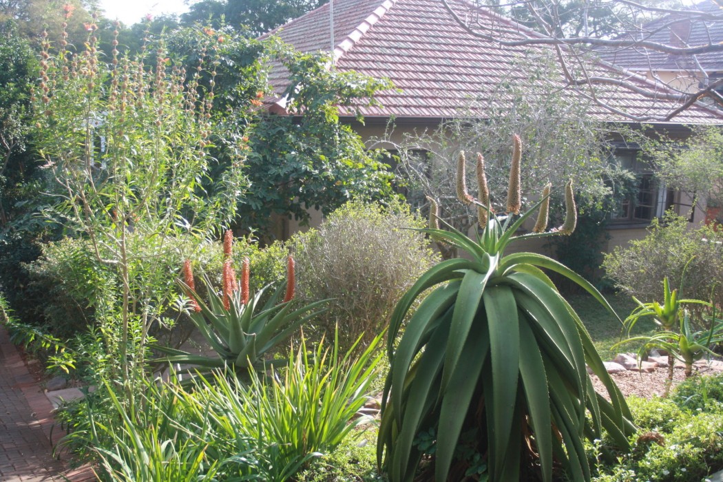 Mackaya Bella Guest House 31/71