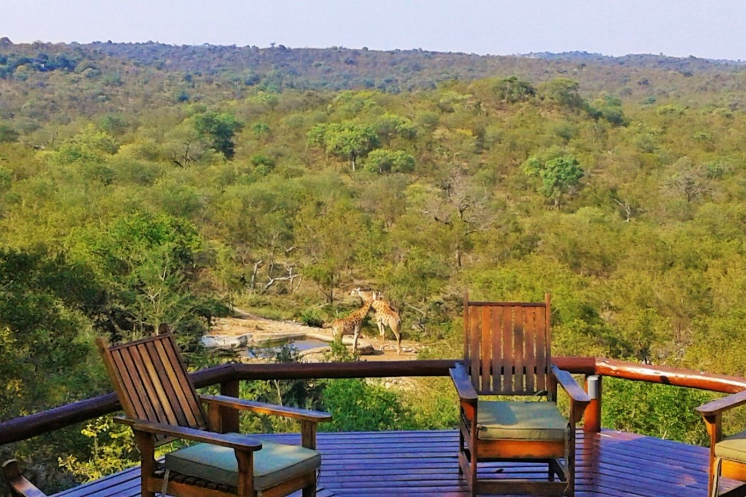 Elephant Game Lodge 17/56