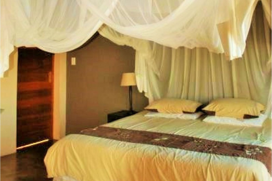 Elephant Game Lodge 22/56