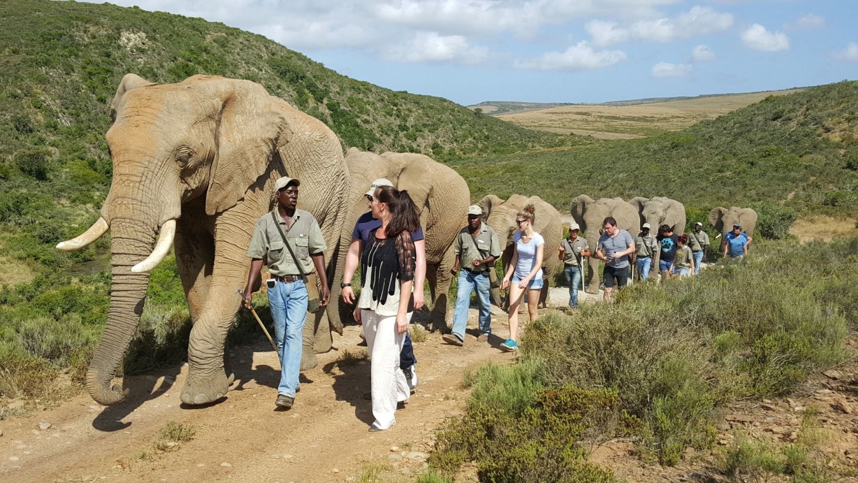 Indalu Game Reserve 8/12