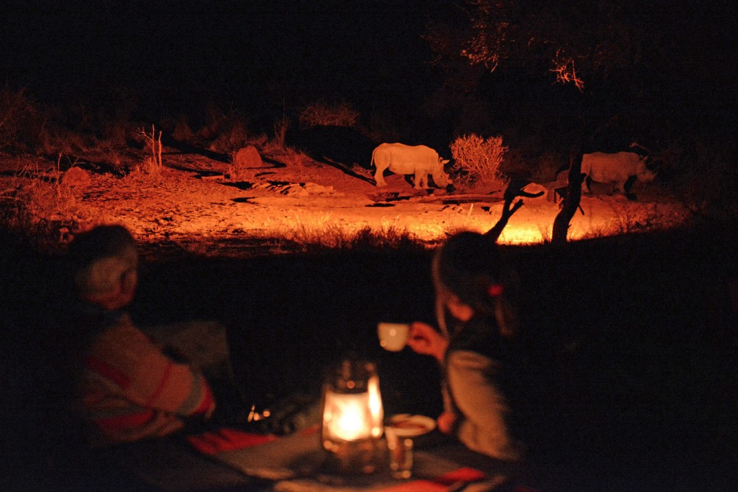 Etali Safari Lodge 10/41