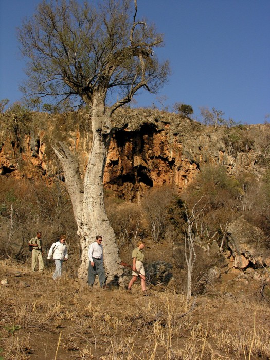 Etali Safari Lodge 17/41