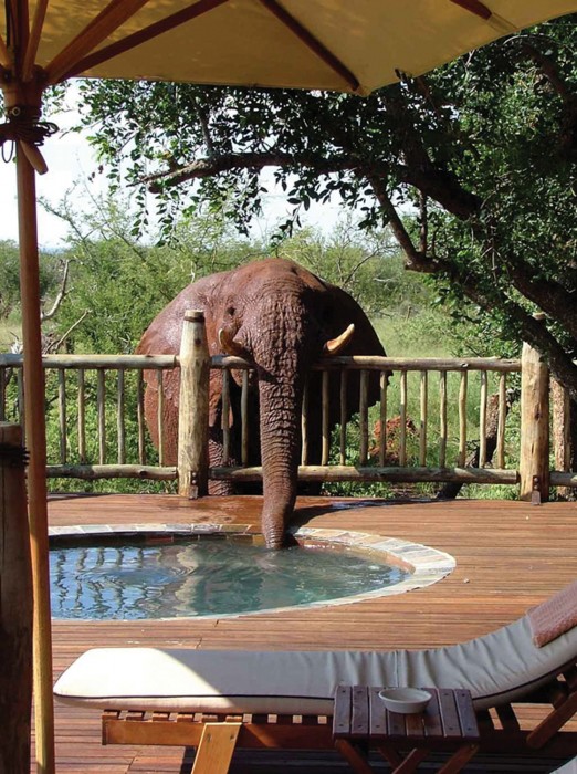 Etali Safari Lodge 8/41