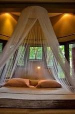 Tingala Lodge 16/29
