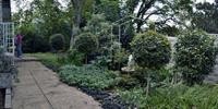 A Garden Suite 13/37