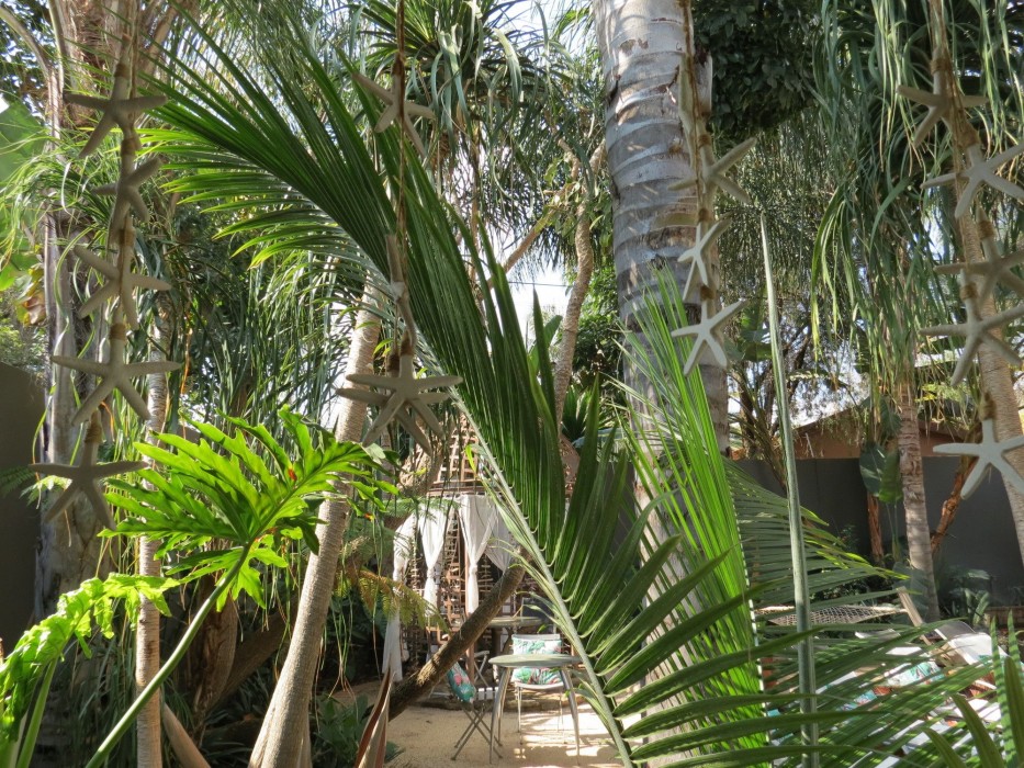 Cocomo Guesthouse Spa And Conference Centre 57/100