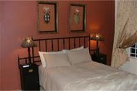 Big Tree B&B And Guest House 8/47
