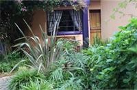 Big Tree B&B And Guest House 25/47