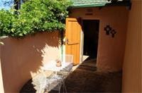 Big Tree B&B And Guest House 31/47
