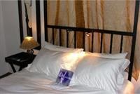 Big Tree B&B And Guest House 30/47
