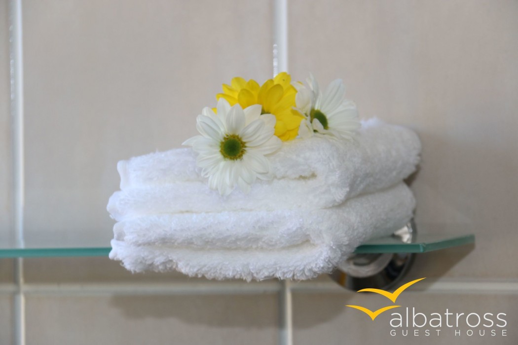 Albatross Guest House 7/40