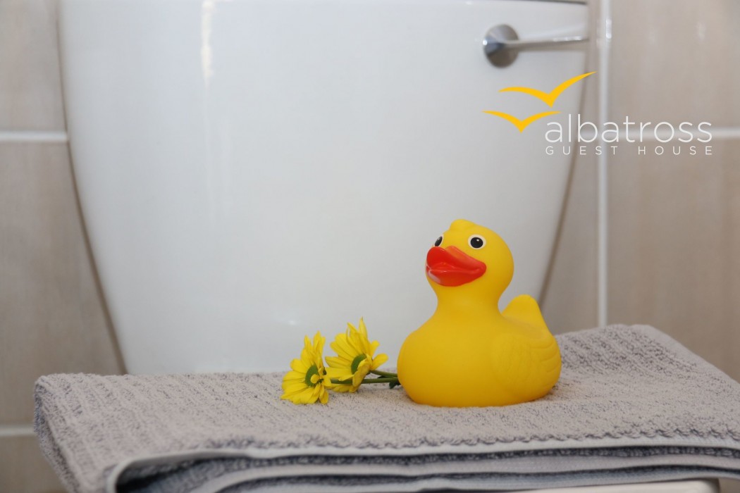 Albatross Guest House 26/40