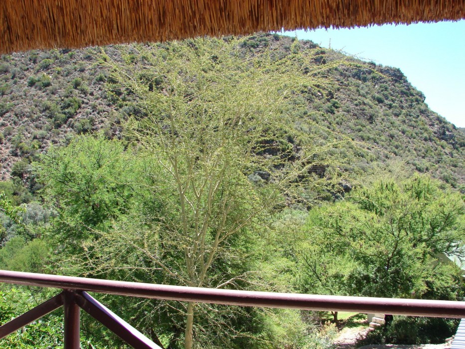 De Poort Country Lodge 6/41
