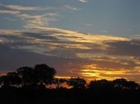 Bateleur Main Camp 1/18