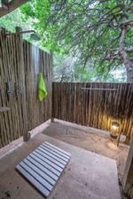 Bateleur Main Camp 5/18