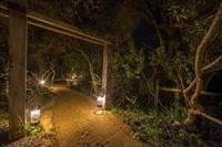 Bateleur Main Camp 10/18