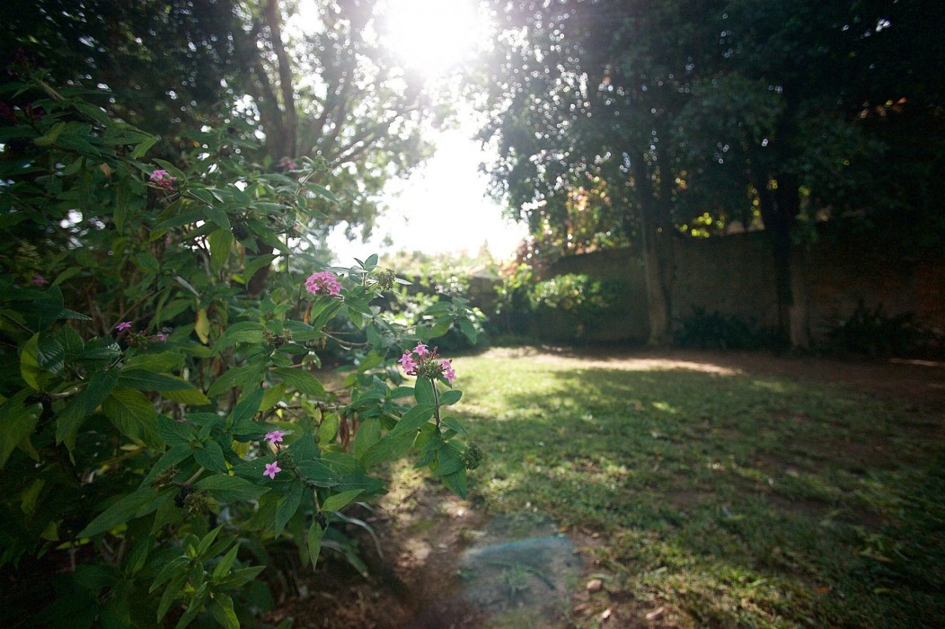 Stellenbosch Gardens 36/61