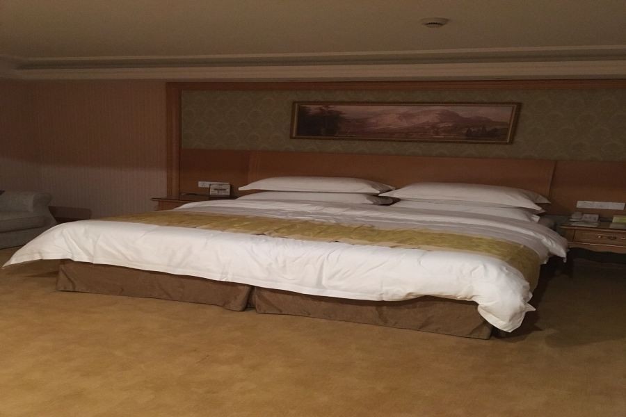 Vienna Classic Hotel (Guangzhou Dongping Middle Road) 18/32