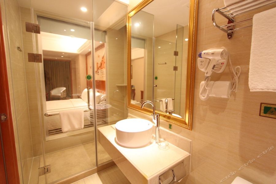 Vienna International Hotel (Foshan Qiandenghu) 4/12