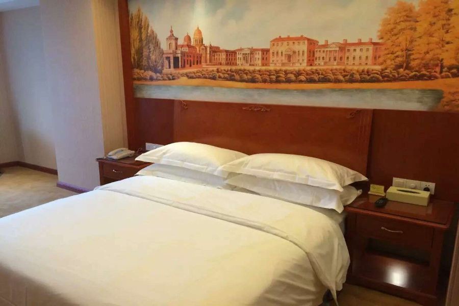 Vienna International Hotel (Foshan Qiandenghu) 3/12