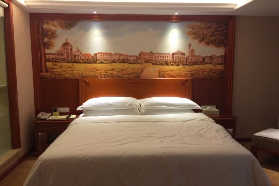 Vienna International Hotel (Foshan Qiandenghu) 5/12