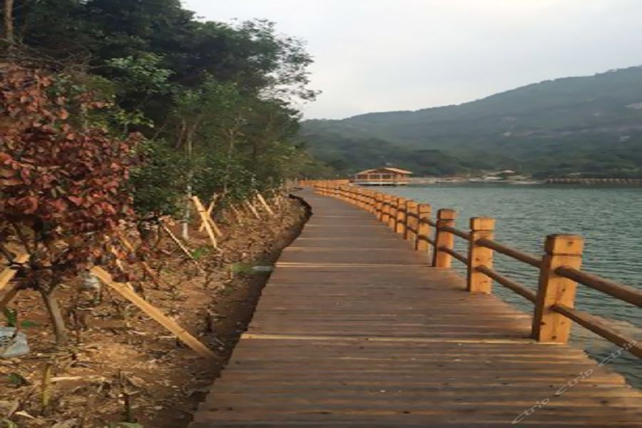 Yaoxi Dynasty Hotel 14/47