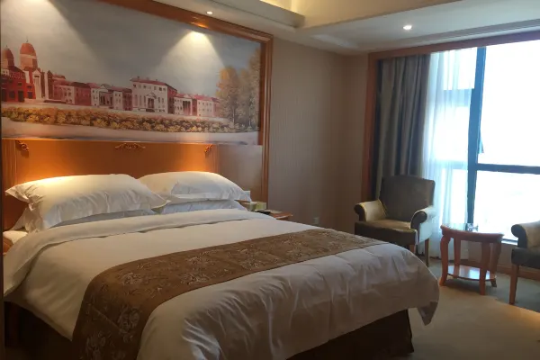 Vienna International Hotel (Xi'an Terra Cotta Warriors) 20/43