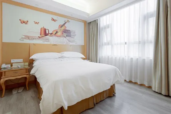 Vienna International Hotel (Xi'an Terra Cotta Warriors) 18/43