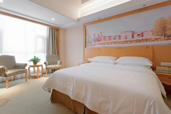 Vienna International Hotel (Xi'an Terra Cotta Warriors) 21/43