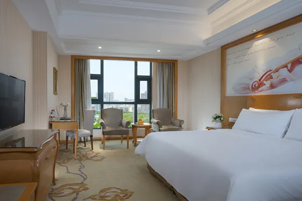 Vienna International Hotel (Xi'an Terra Cotta Warriors) 16/43