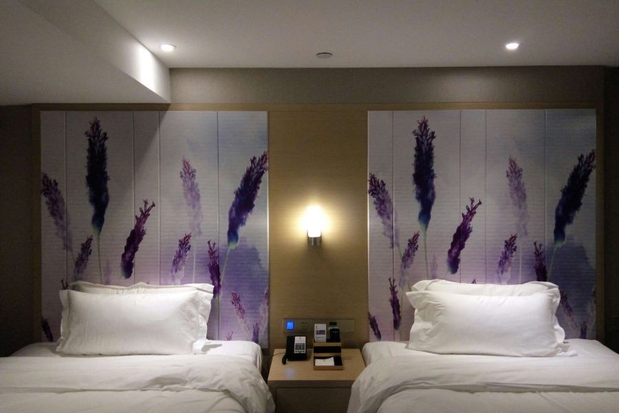 Lavande Hotel (Heyuan Wanlongcheng) 21/54