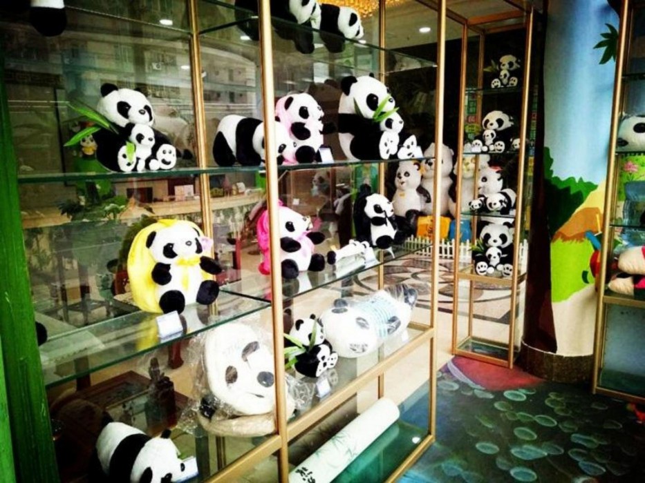 Panda Prince Hotel (Chengdu Xinhua Park) 33/44