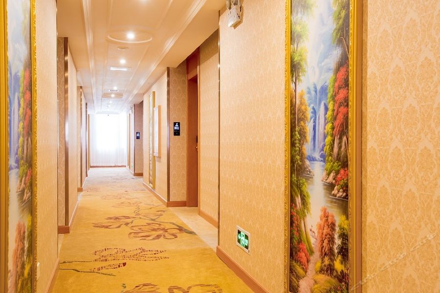 Venus International Hotel (Hankou North) 31/53