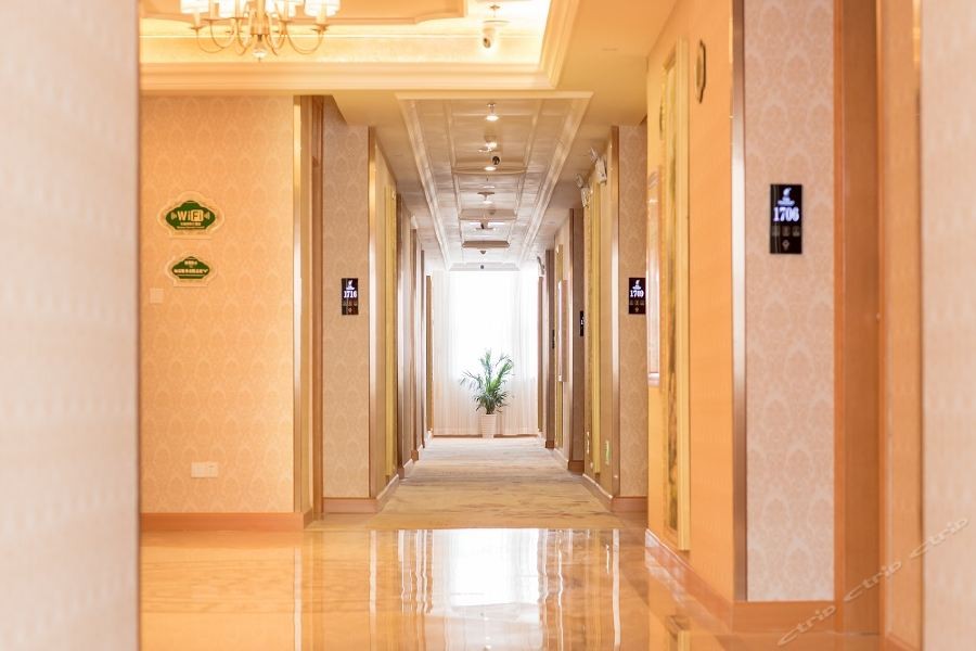 Venus International Hotel (Hankou North) 26/53