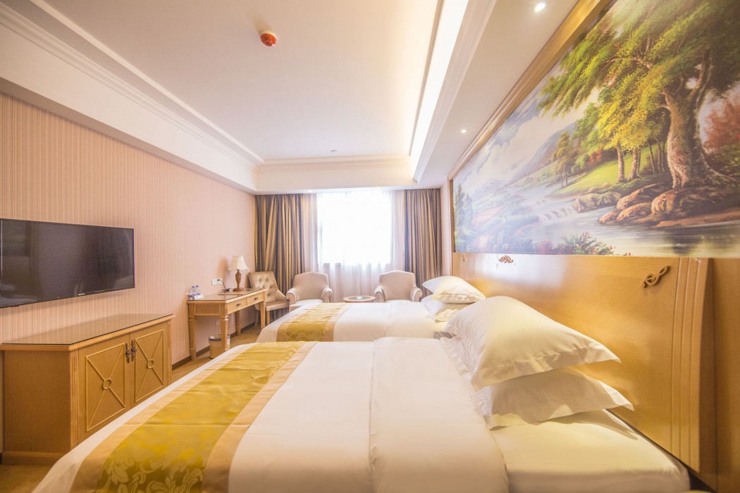 Vienna Hotel (Guangzhou Panyu Changlong & Jinjiang Avenue) 39/55