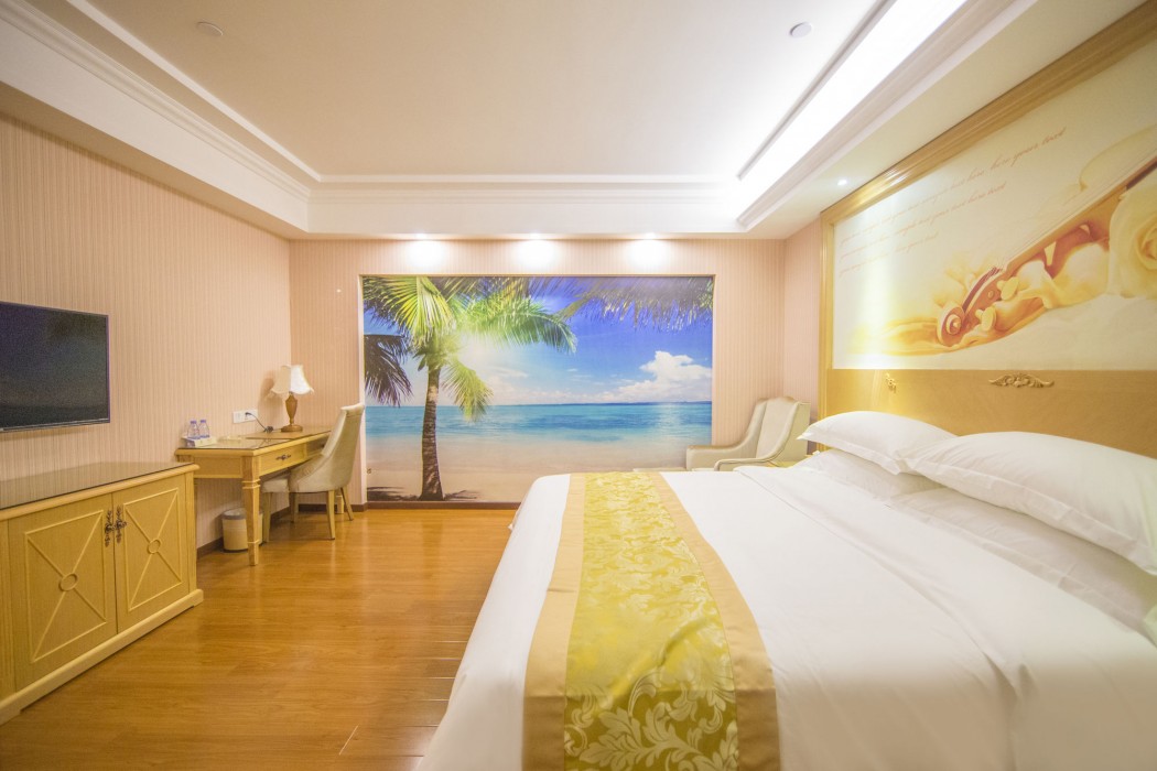 Vienna Hotel (Guangzhou Panyu Changlong & Jinjiang Avenue) 30/55