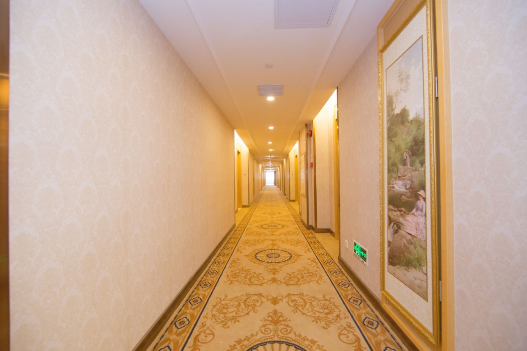 Vienna Hotel (Guangzhou Panyu Changlong & Jinjiang Avenue) 20/55