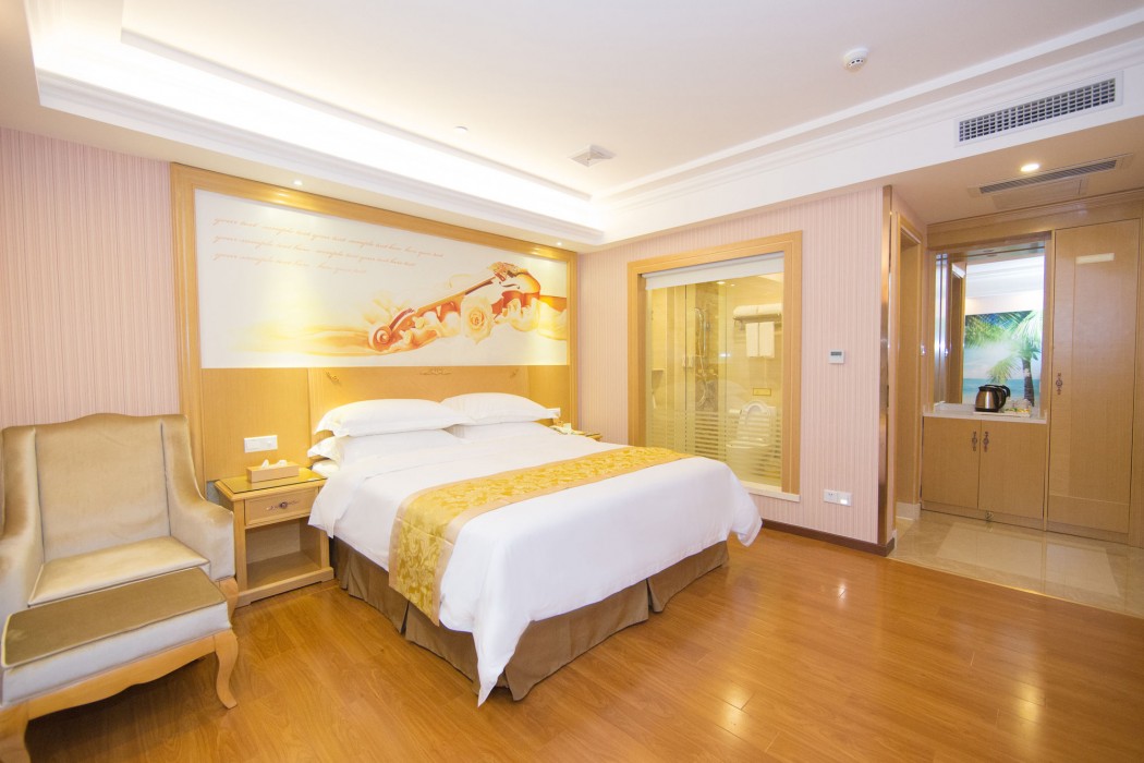 Vienna Hotel (Guangzhou Panyu Changlong & Jinjiang Avenue) 41/55