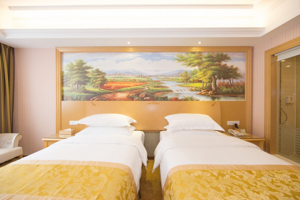 Vienna Hotel (Guangzhou Panyu Changlong & Jinjiang Avenue) 34/55