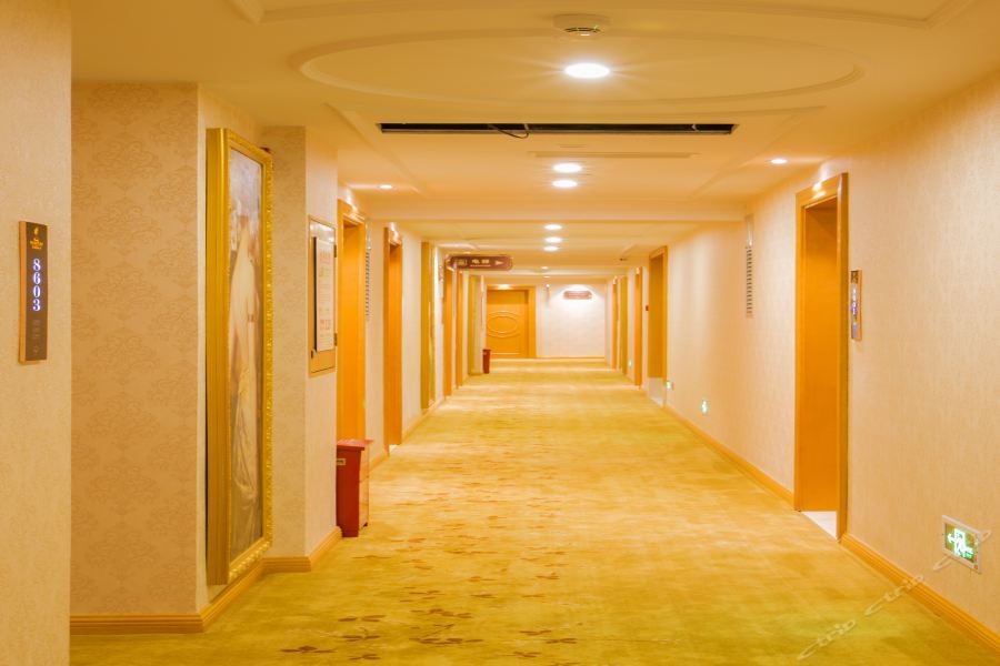 Venus Royal Hotel (Guilin Airport) 30/51