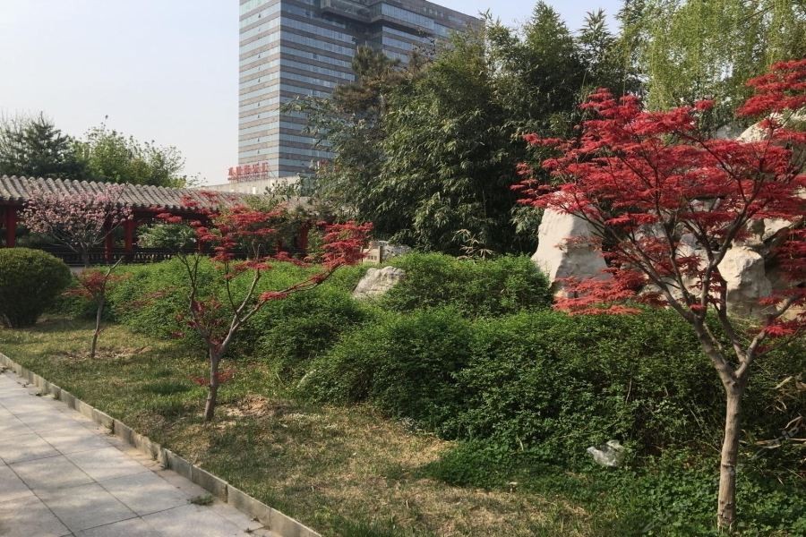Vienna International Hotel (Beijing Hot Spring Leisure City) 19/41