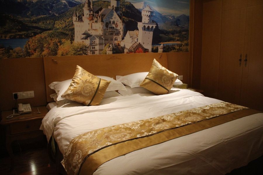 Vienna International Hotel Shanghai Baoshan International Cruise Terminal Pangu 36/62