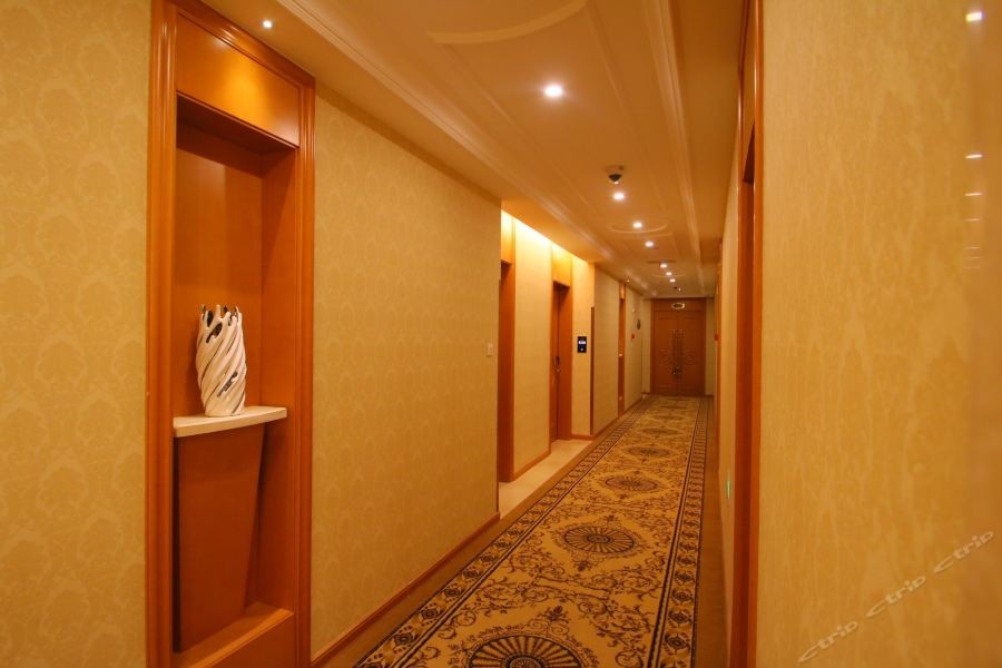Vienna International Hotel Shanghai Baoshan International Cruise Terminal Pangu 33/62