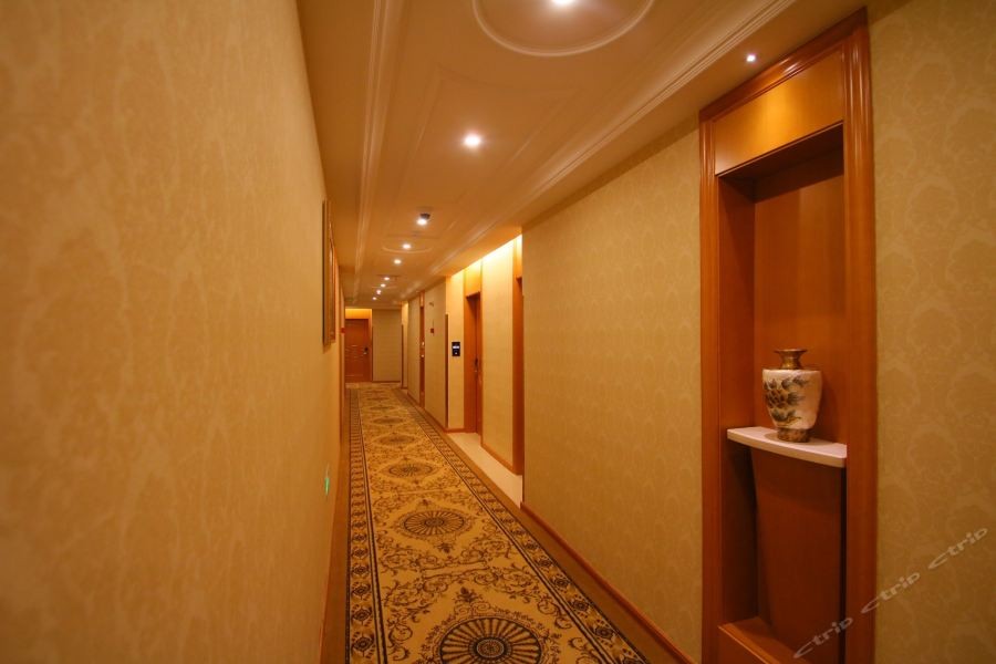 Vienna International Hotel Shanghai Baoshan International Cruise Terminal Pangu 38/62