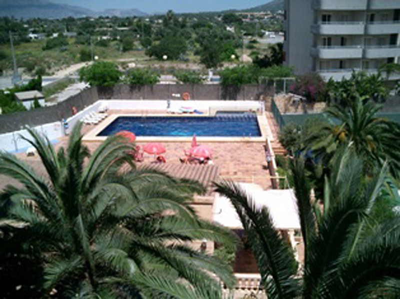 Apartamentos Palm Court 24/55