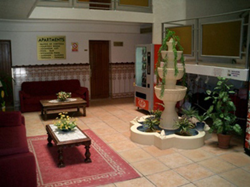 Apartamentos Palm Court 3/55