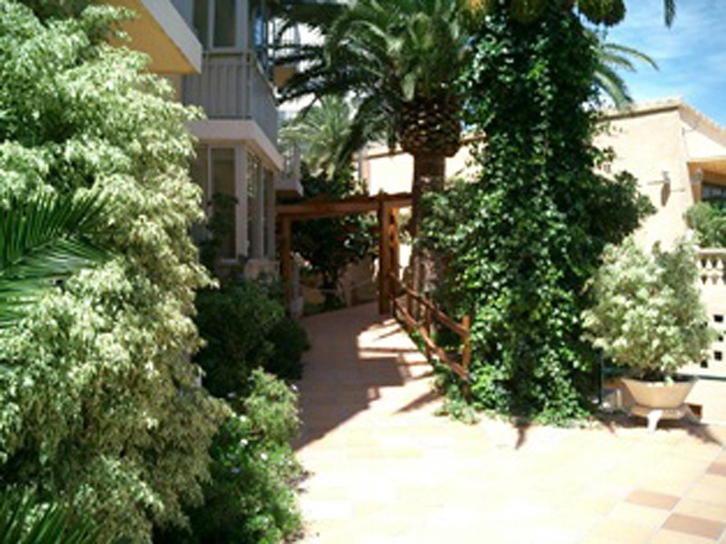 Apartamentos Palm Court 2/55