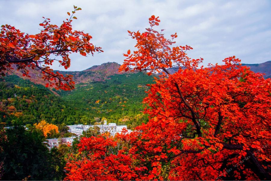Fragrant Hill Hotel 29/60