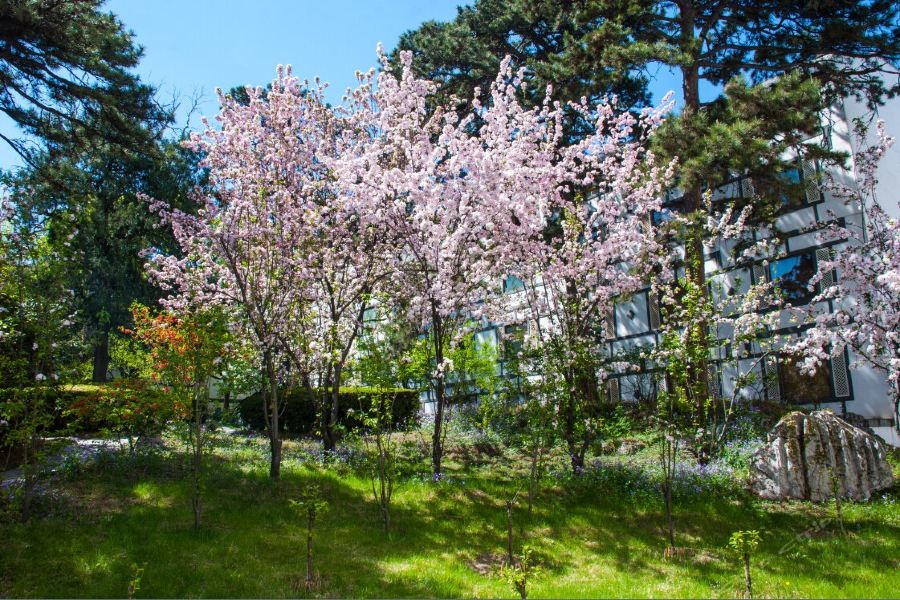 Fragrant Hill Hotel 20/60