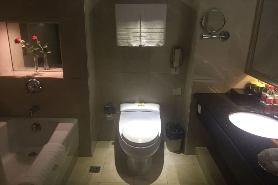 Jiangxi Trilec International Hotel 15/40